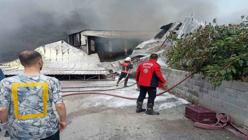 Mersin’de narenciye paketleme tesisinde yangın