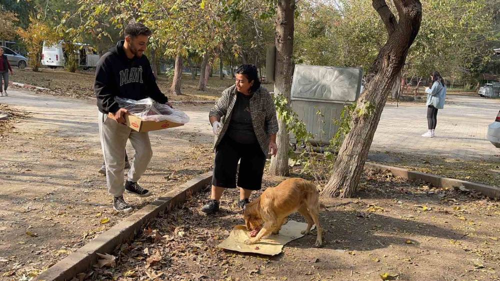 Osmaniye’de sokak hayvanları için doğaya yem bırakıldı